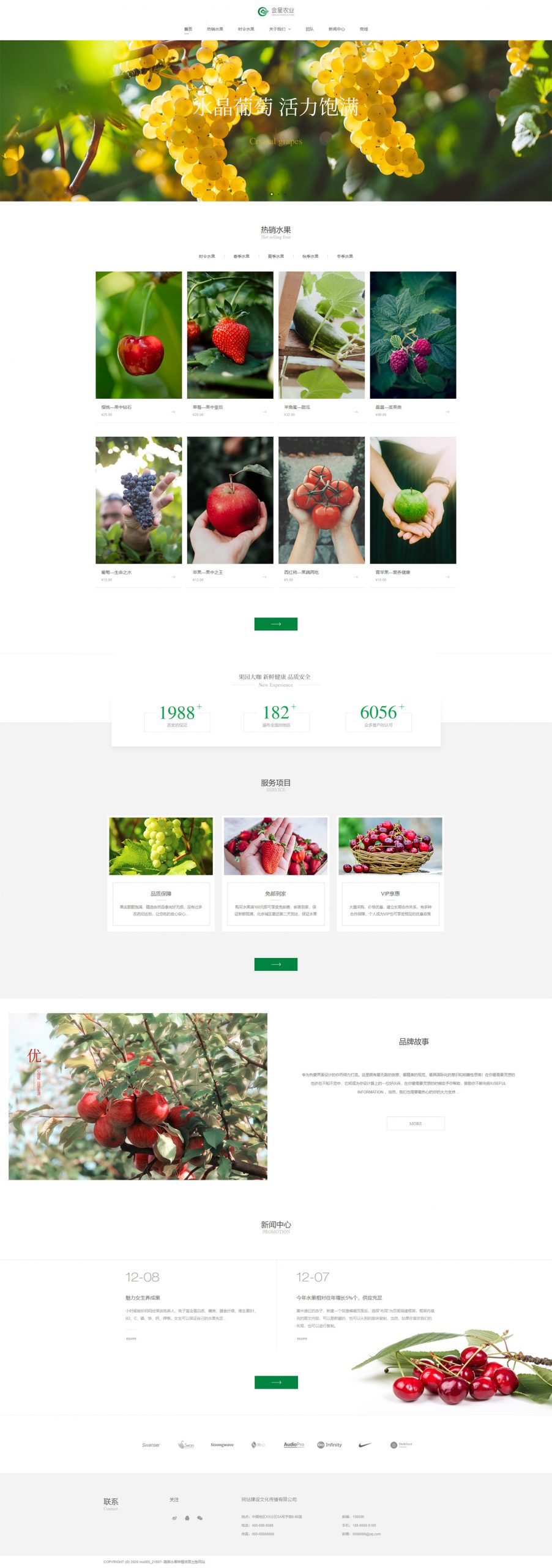 图片[1]-蔬菜水果网站模板-晓韩网络